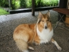 2011-07-20 Akira - 26