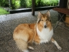 2011-07-20 Akira - 27