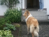 2011-07-20 Akira - 28
