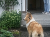 2011-07-20 Akira - 29