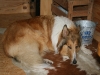 2011-07-20 Akira - 3