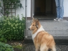 2011-07-20 Akira - 30