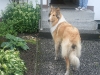 2011-07-20 Akira - 31