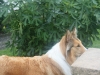 2011-07-20 Akira - 32
