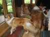 2011-07-20 Akira - 6