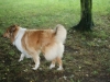 2011-07-20 Akira - 7