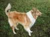 2011-07-20 Akira - 8