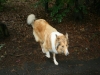 2011-07-20 Akira - 9