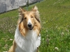 2011-07-29 Akira - 1