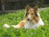 2011-07-29 Akira - 2