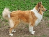 2012-06-01 Akira - 1