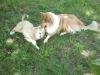 2012-06-01 Akira - 3
