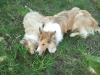 2012-06-01 Akira - 4