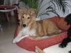 2010-05-05 Abu - 1