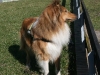 2011-03-19 Abu - 11
