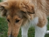 2010-04-27 Anouk - 7