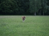 2011-07-21 Anouk - 10