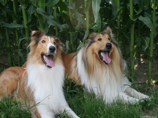 Grace & El-Lobo