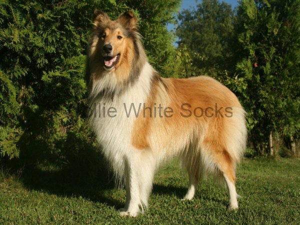 2013-08-01-spielfreude-4 2013-08-01-spielfreude-4