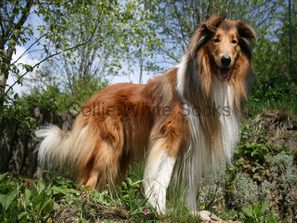 2014-04-22-milana-49