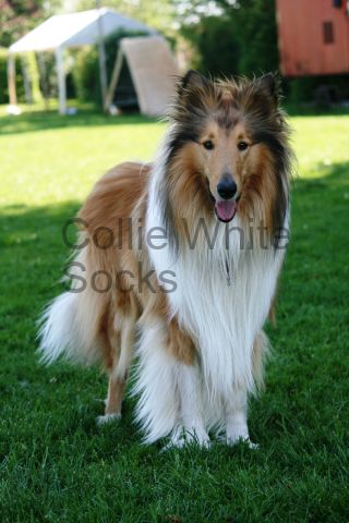 2016-05-07-bh-bandit-122-kopie 2016-05-07-bh-bandit-122-kopie