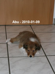 2010-01-09 Abu 44.Tag (14)_Beschriftet