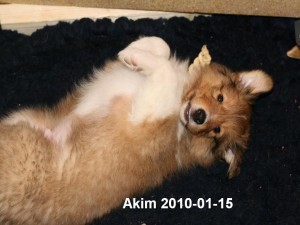 2010-01-15 Akim 50.Tag (3)_Beschriftet