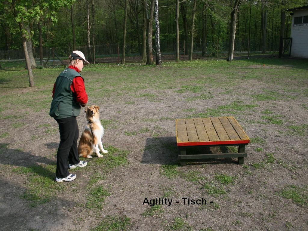 2010-04-28 - Anouk (118)_Agility