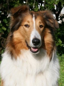 03.01.2007 – 18.07.2012 (in inniger Liebe)