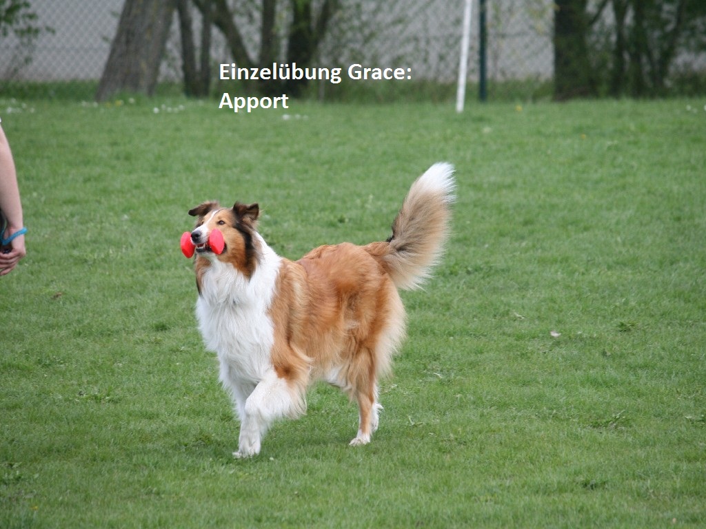 2011-04-16 Kreisgruppentraining (22)