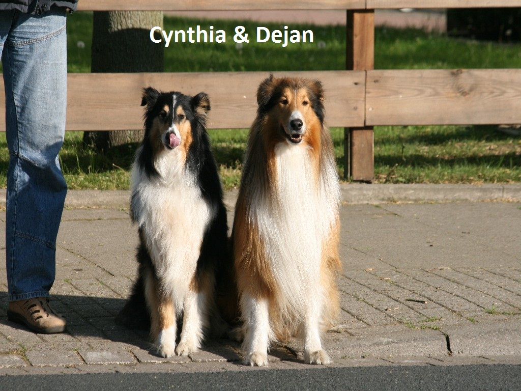 2011-05-05 Cynthia & Dejan (6) - Kopie