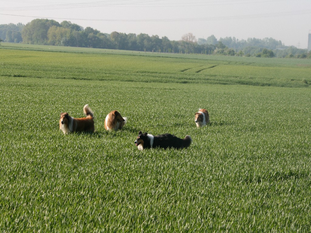 2011-05-05 Cynthia & Dejan (76)