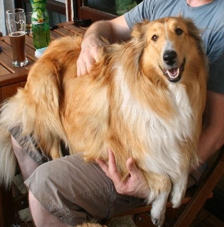 2011-05-21 - Aika (10) - Kopie