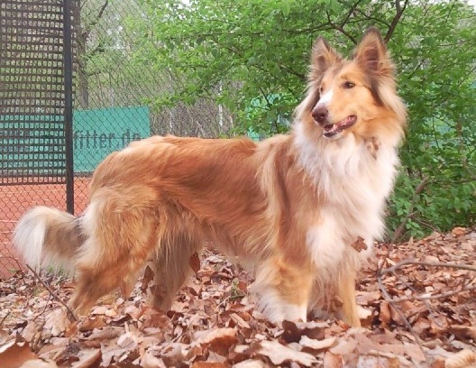 2011-05-30 Akira (9) - Kopie