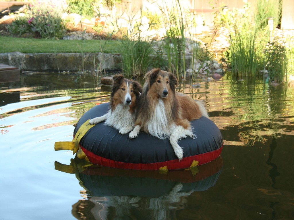 2011-06-28 Schwimmen (106)