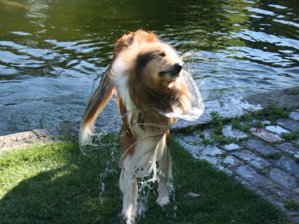 2011-06-28 Schwimmen (47)