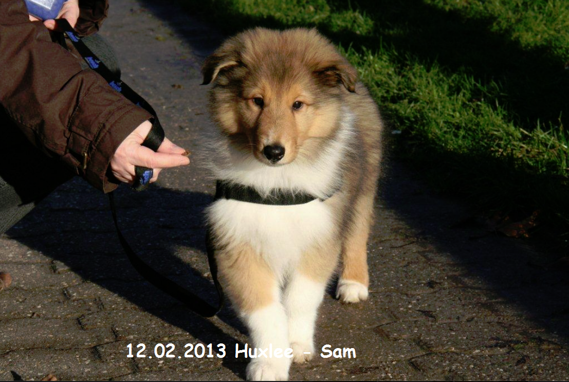 12.02.2013 Huxlee