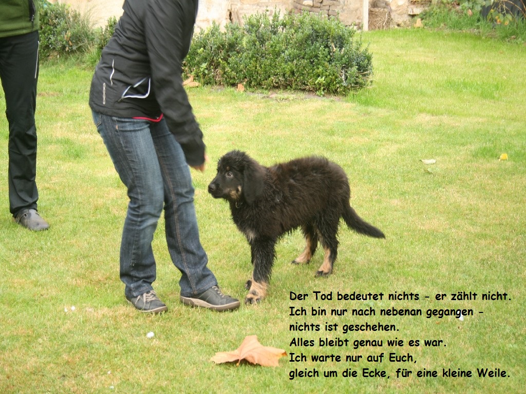 2013-10-25 Hobbit (72) - Kopie