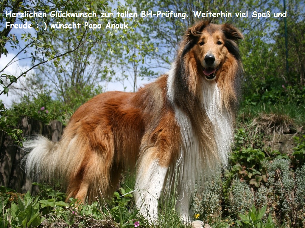 2014-04-22 Milana (48) - Kopie