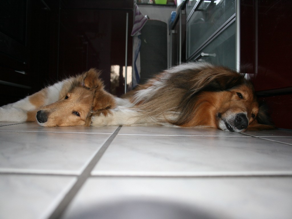 2014-10-27 Brejen Bandit (11)