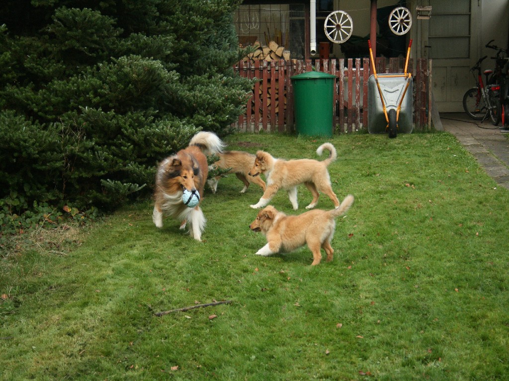 2014-11-02 Besuch Balou (14)