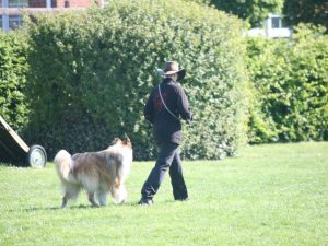 2016-05-07 BH Bandit (41)
