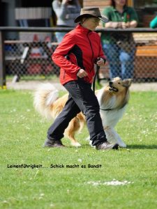 2016-05-21 BH-Bandit (10)