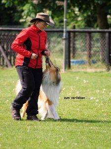 2016-05-21 BH-Bandit (14)