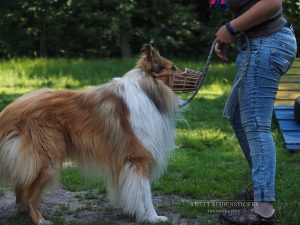 2016-06-05 HFP Bandit (19)