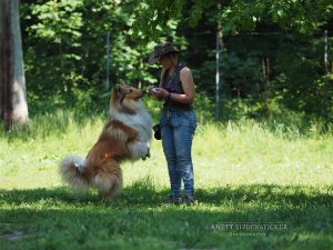 2016-06-05 HFP Bandit (4)