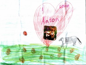Bild-1_Alina