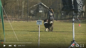 FCI_Obedience
